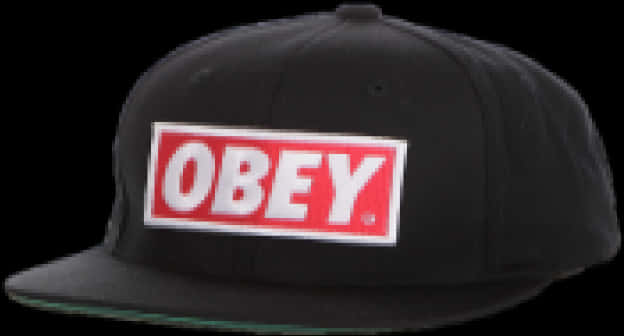 Obey Branded Black Snapback Hat