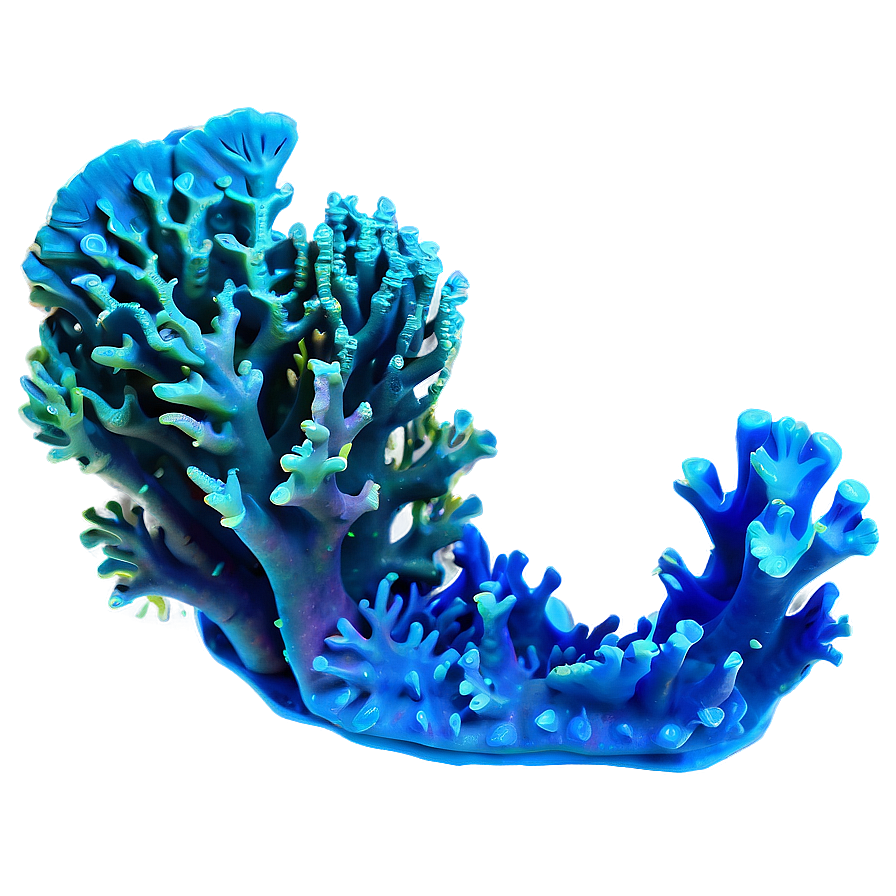 Ocean Coral Reef Png 96