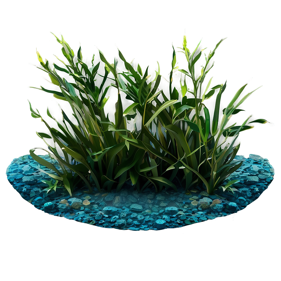 Ocean Floor Seagrass Png 06292024