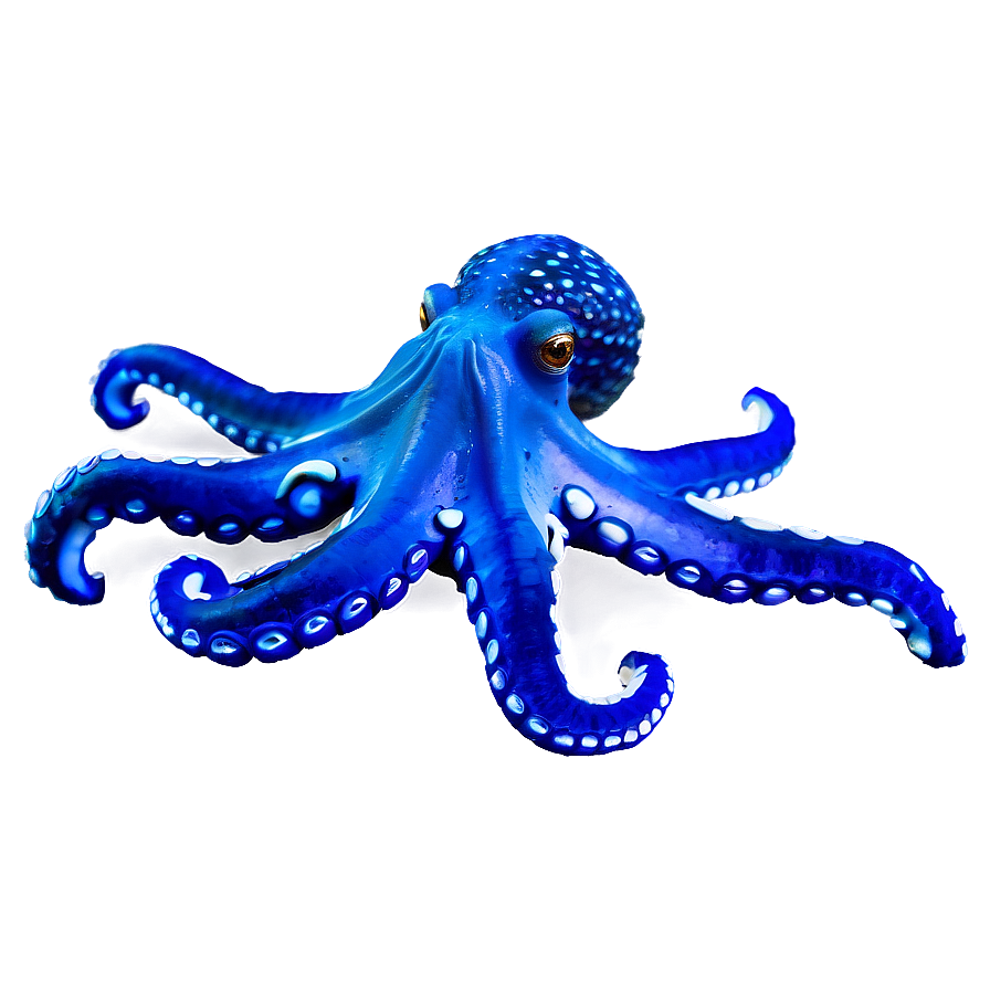 Octopus In Ocean Png Sdb