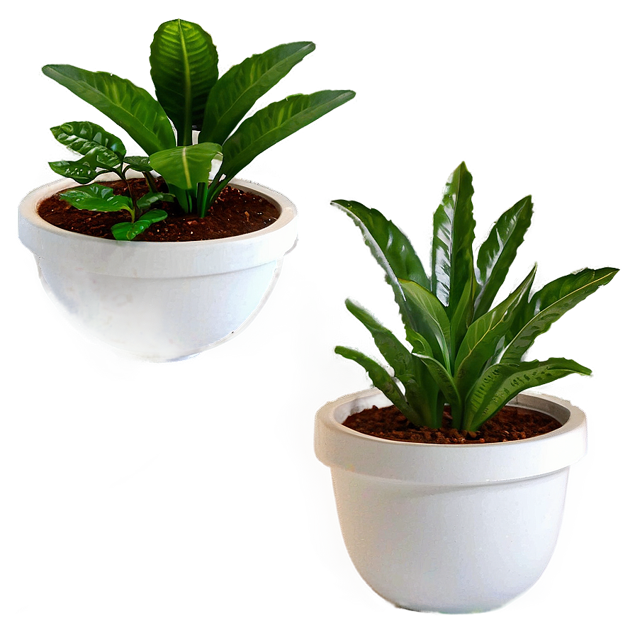 Office Desk Potted Plants Png 06122024