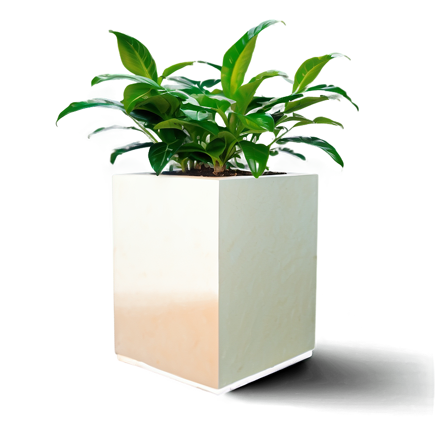 Office Plants Png Tnx