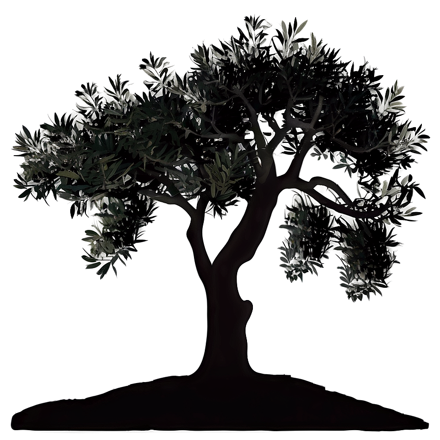 Olive Tree Silhouette Png 72