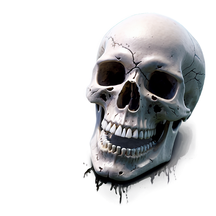 Ominous Horror Skull Png Xci89