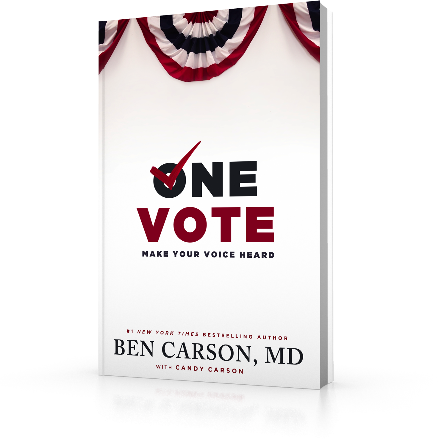 One Vote Book Cover