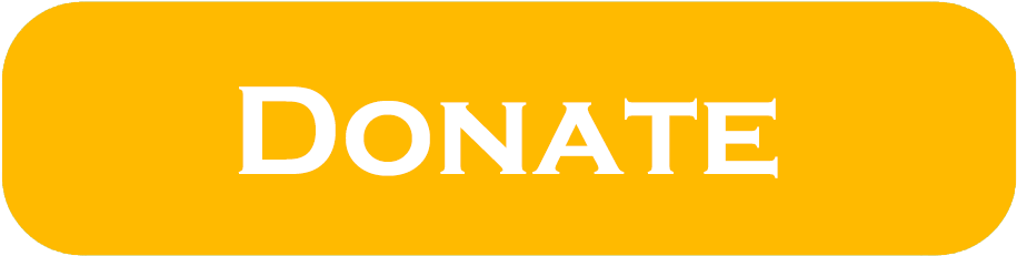 Online Donation Button