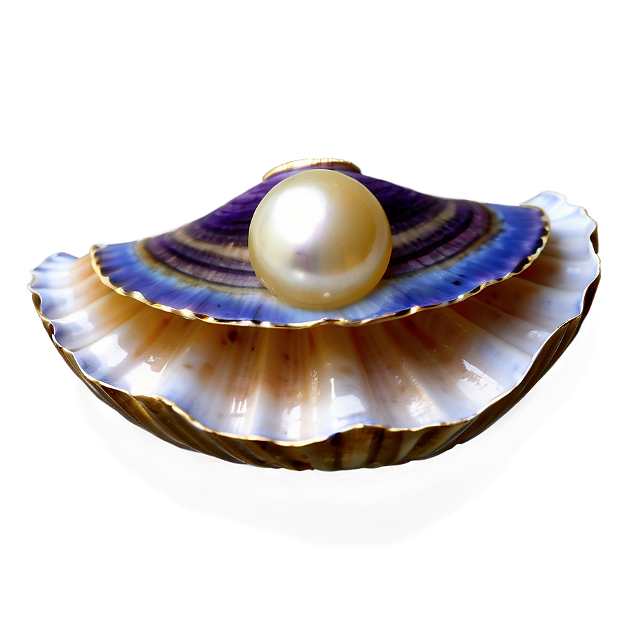 Open Clam With Pearl Png 05242024