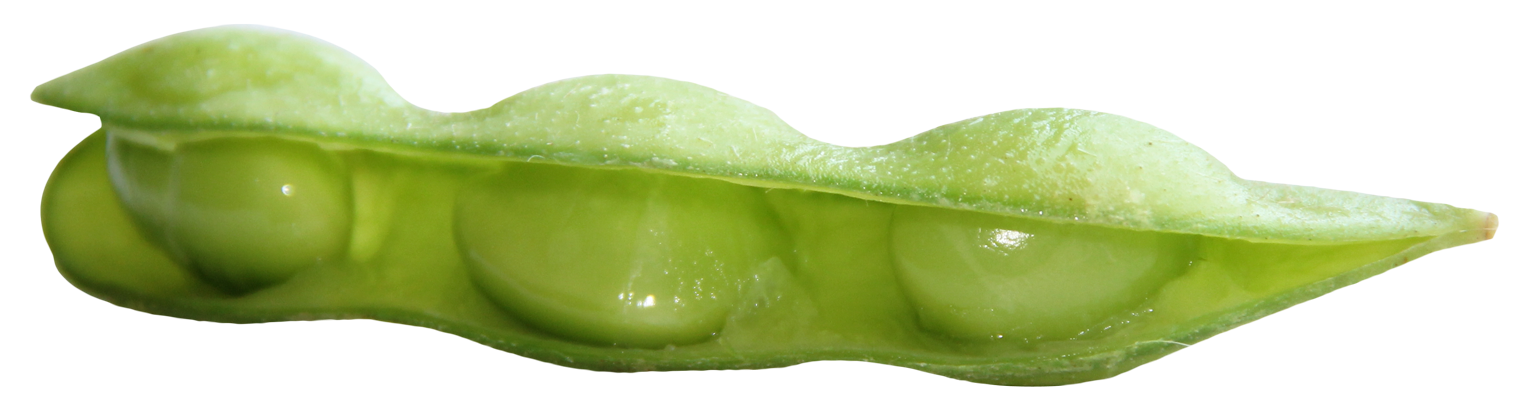 Open Green Pea Pod