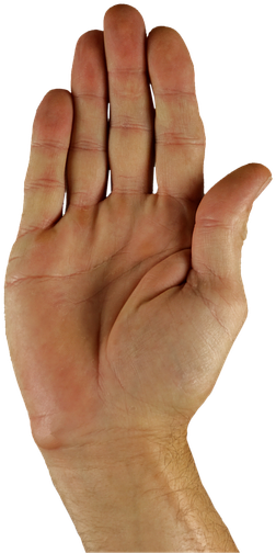 Open Hand Gesture Stop Sign