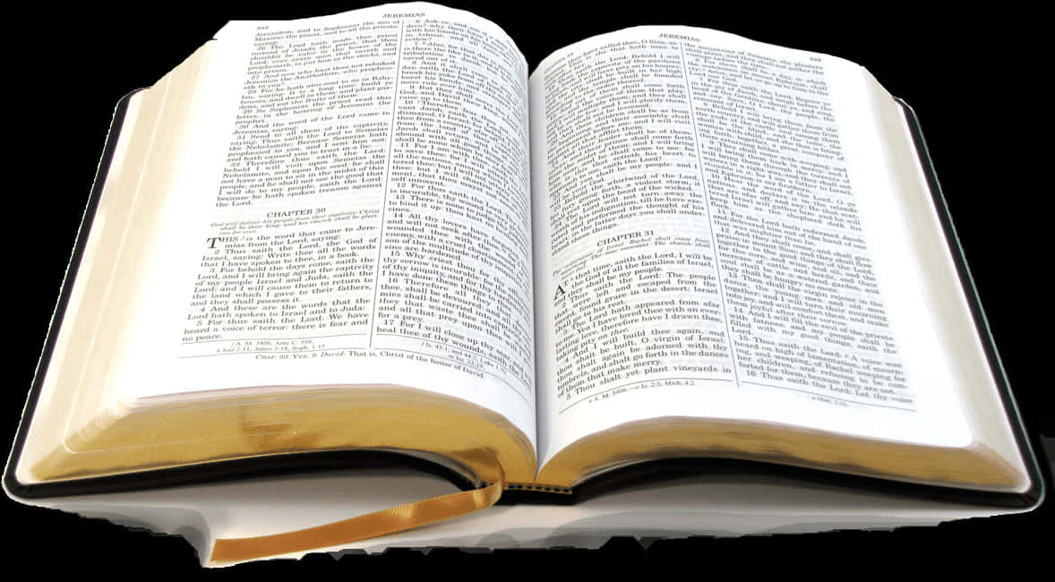 Open Holy Bible