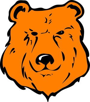 Orange Bear Graphic