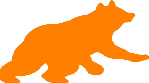 Orange Bear Silhouetteon Black Background