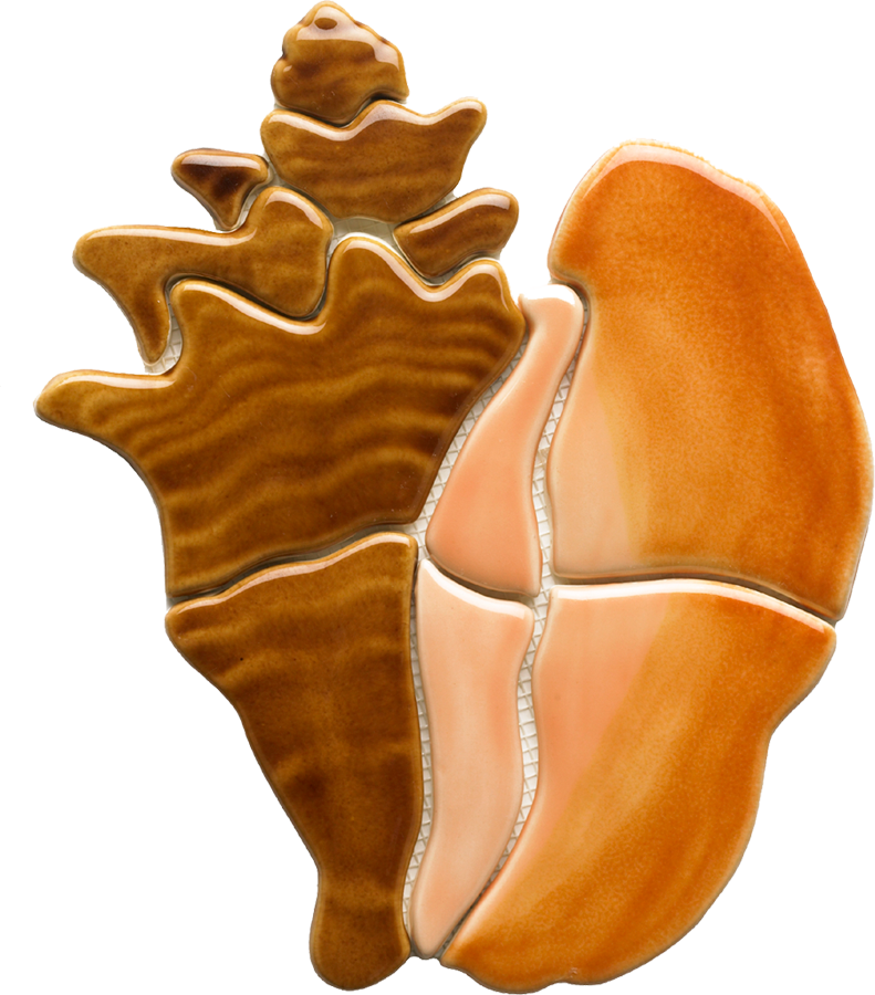 Orange Brown Conch Shell