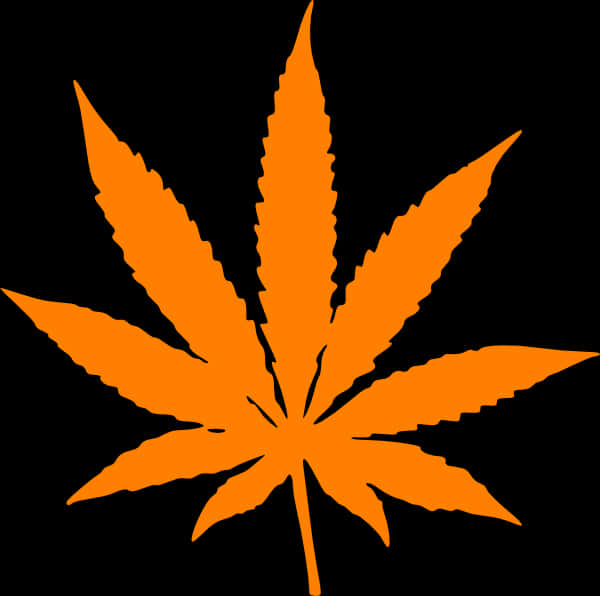 Orange Cannabis Leaf Graphic