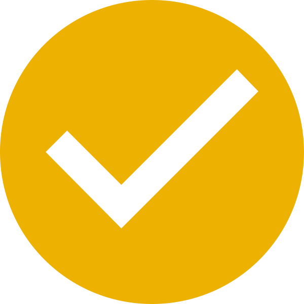 Orange Checkmark Icon