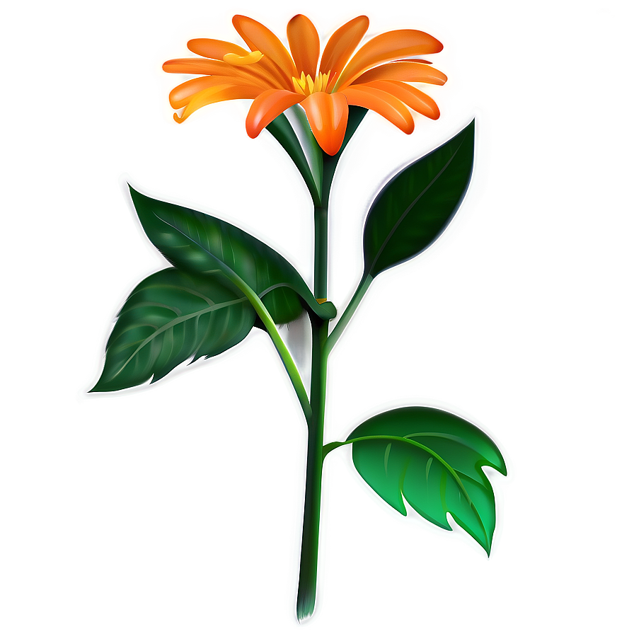 Orange Flower A