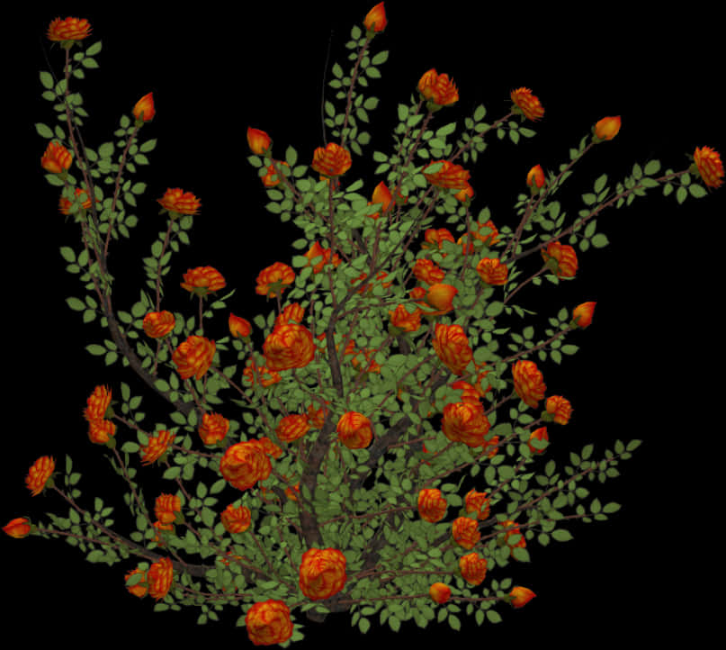 Orange Flower Bushon Black Background