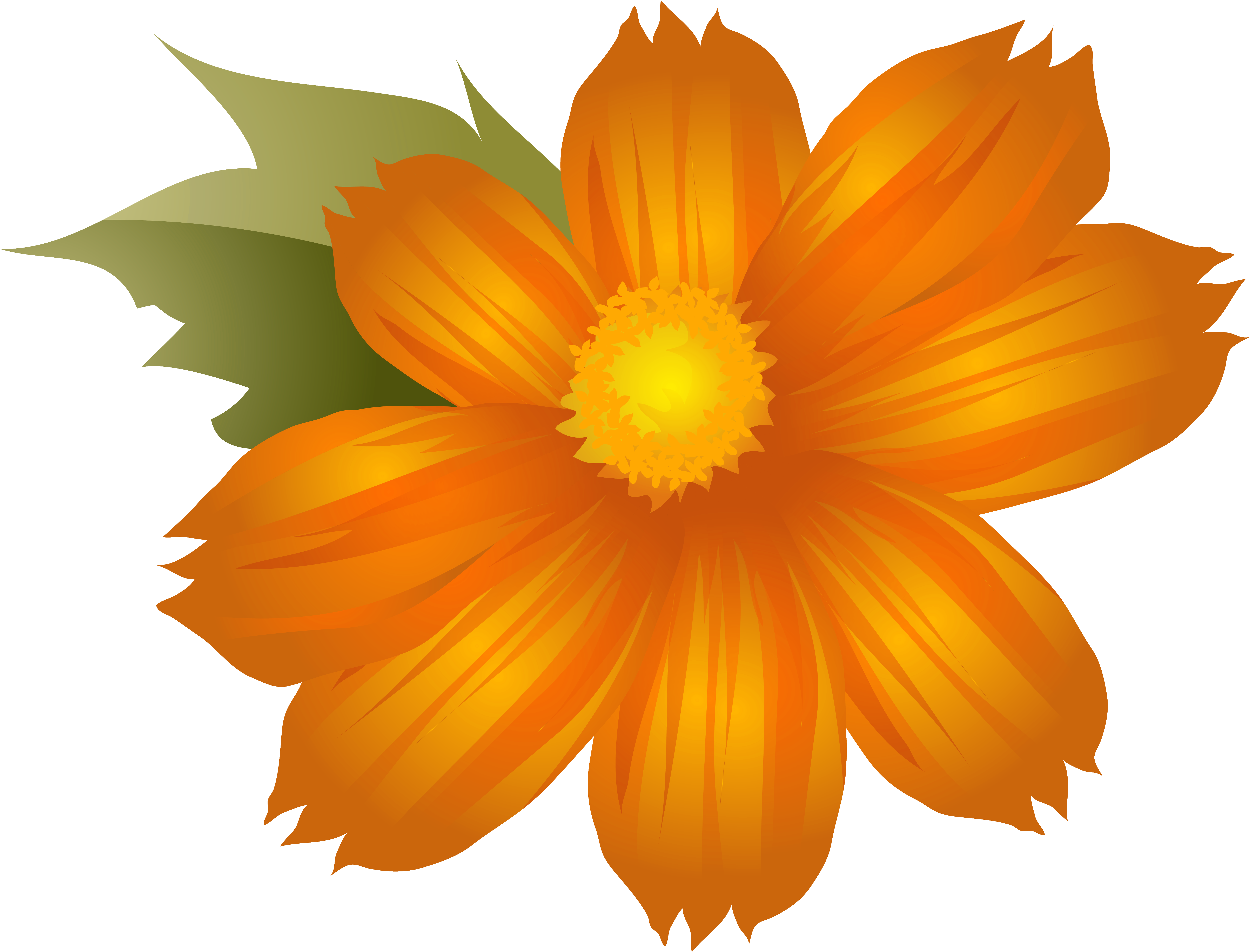 Orange Flower Clipart Illustration