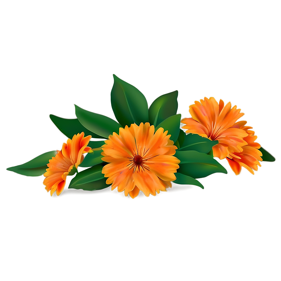 Orange Flower Field Png 49