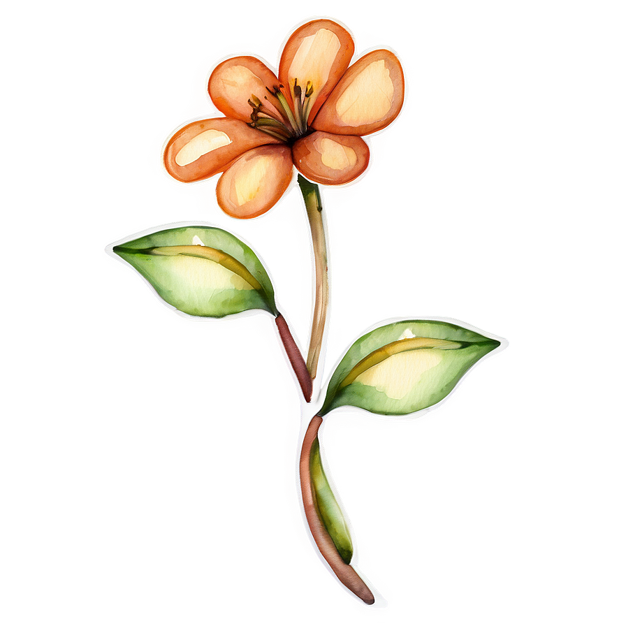 Orange Flower Watercolor Png Gmw