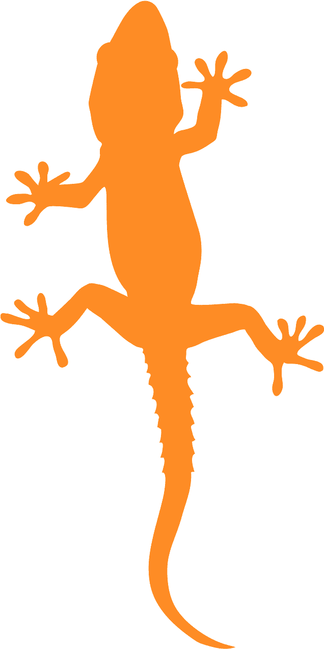 Orange Gecko Silhouette