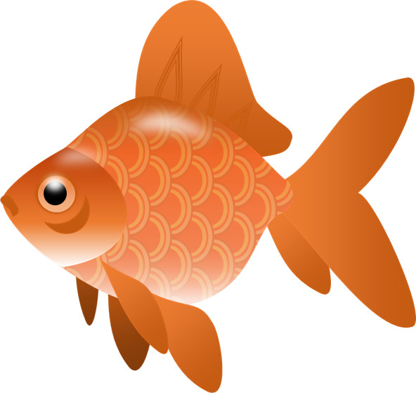 Orange Goldfish Illustration