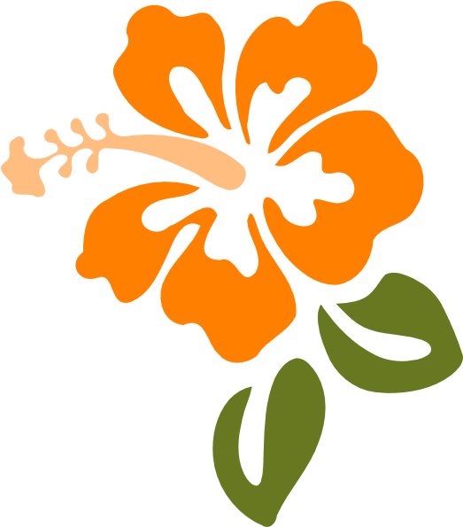 Orange Hibiscus Vector Art