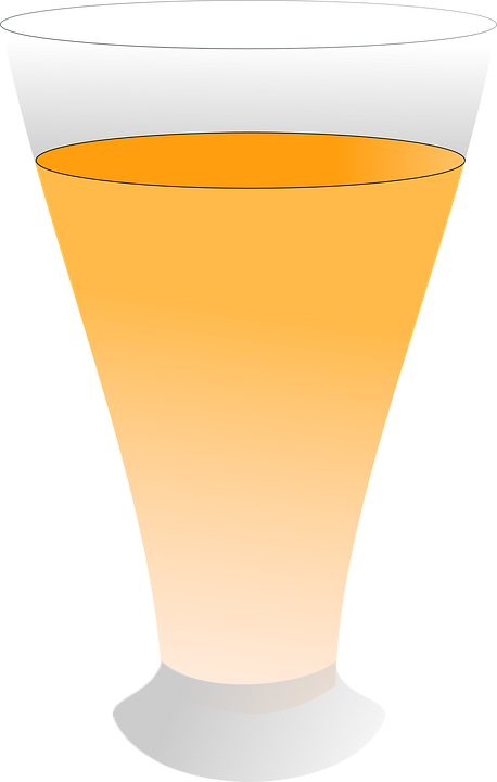 Orange Juice Glass Vector