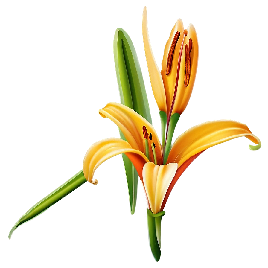 Orange Lily Flower Png 06272024