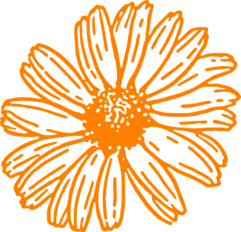 Orange Outlined Flower Illustration