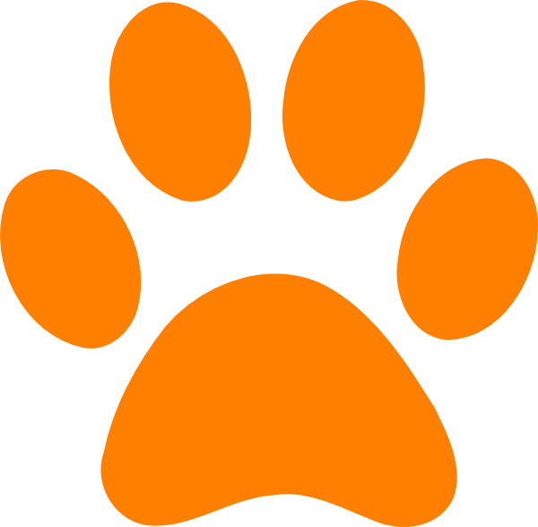 Orange Paw Print Graphic