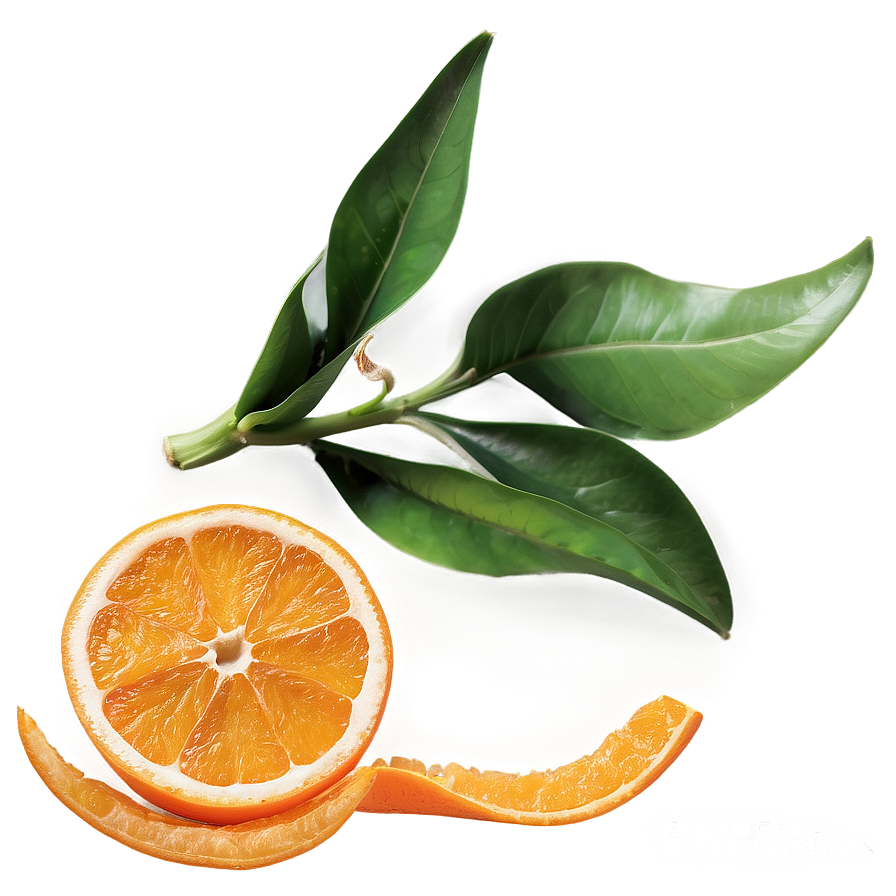 Orange Peel Twist Png Ckc