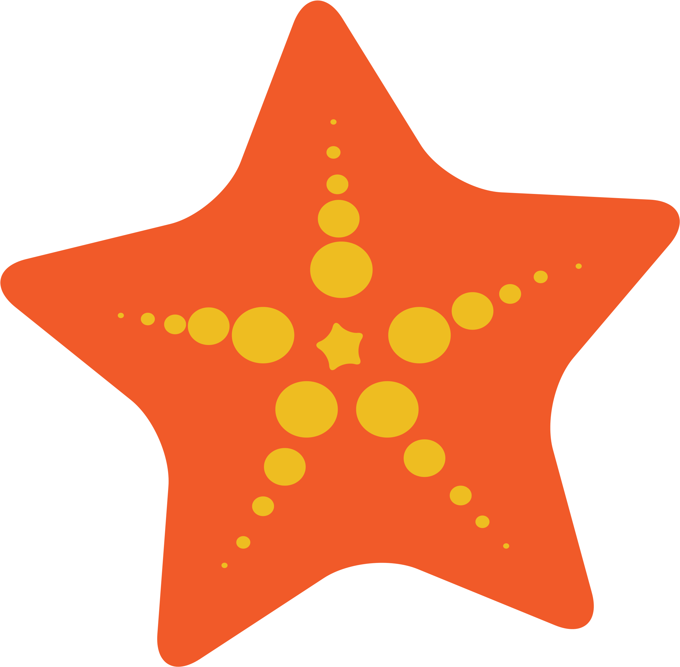 Orange Starfish Clipart