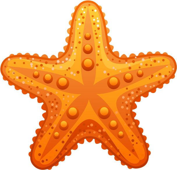 Orange Starfish Clipart