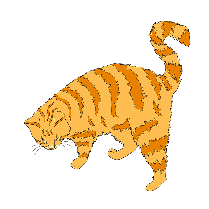 Orange Striped Cat Illustration