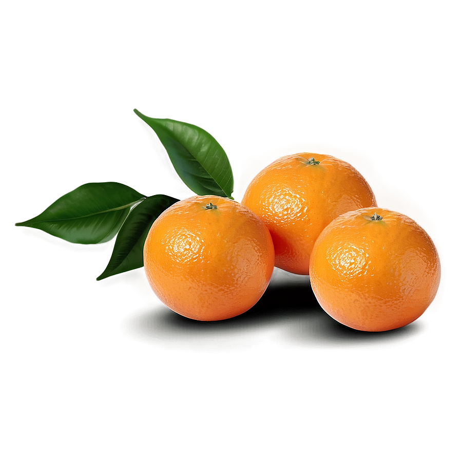 Oranges On White Background Png 24