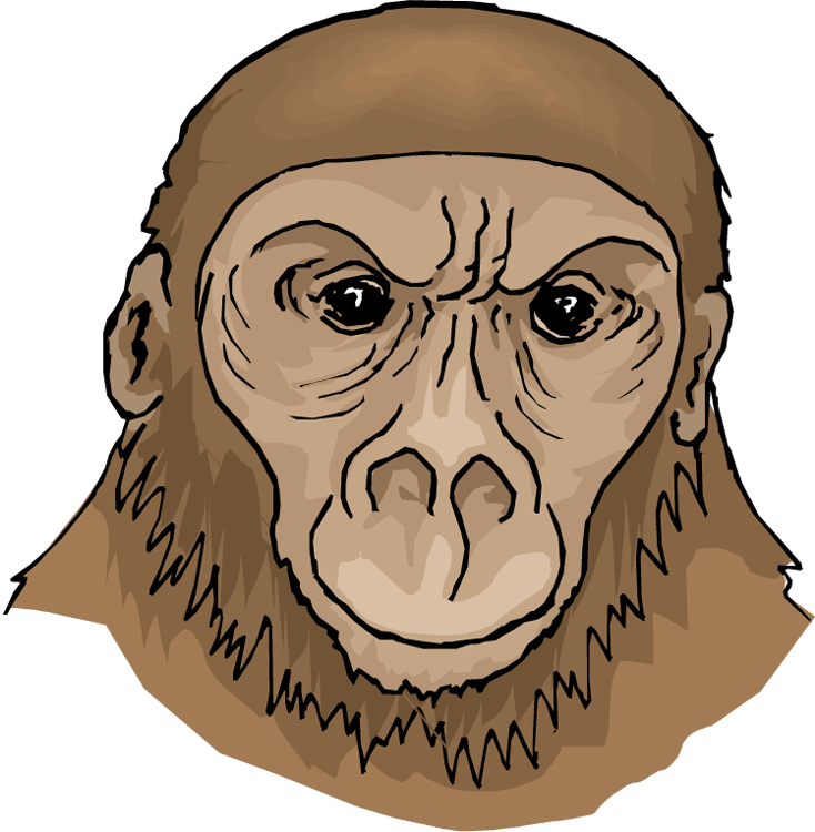 Orangutan Portrait Illustration