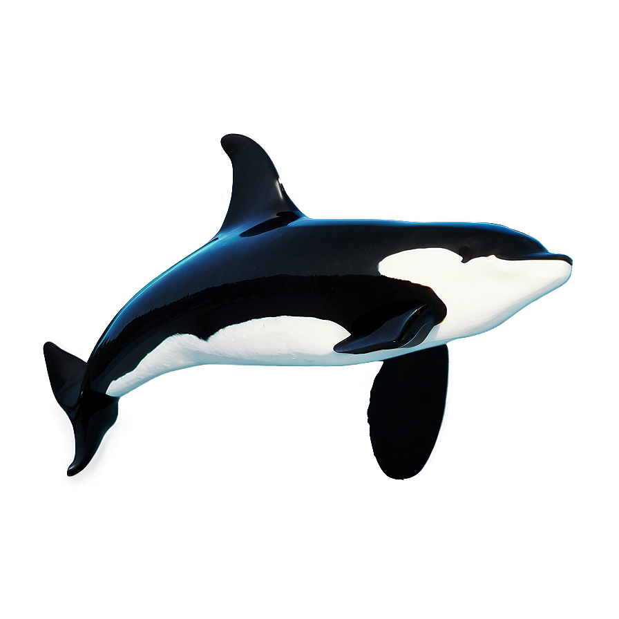 Orca In Ocean Png 36