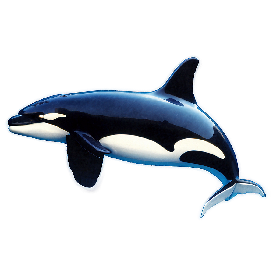 Orca In Sea Png 97