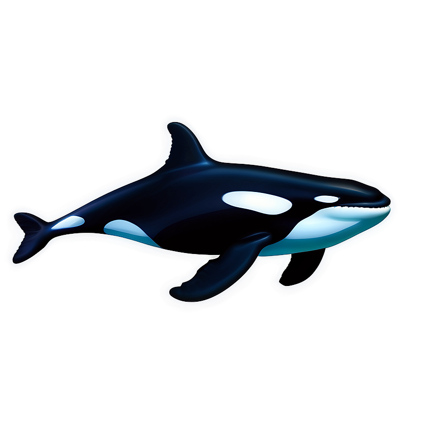 Orca Whale Underwater Scene Png Xhw