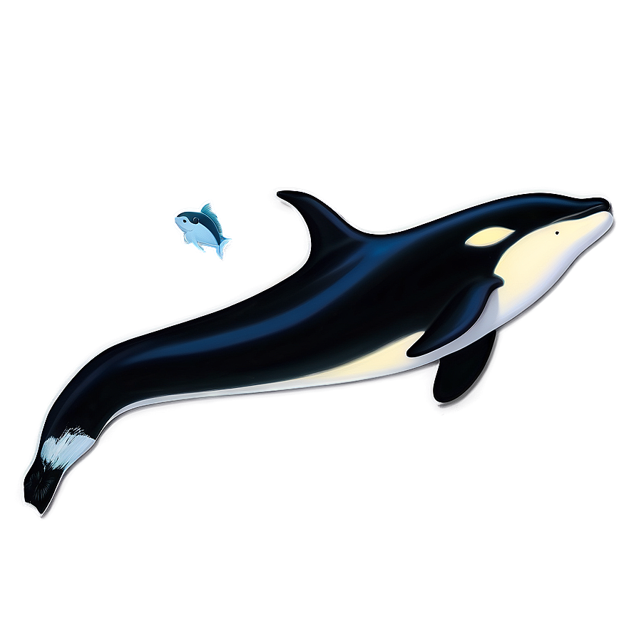 Orca With Fish Png Jce