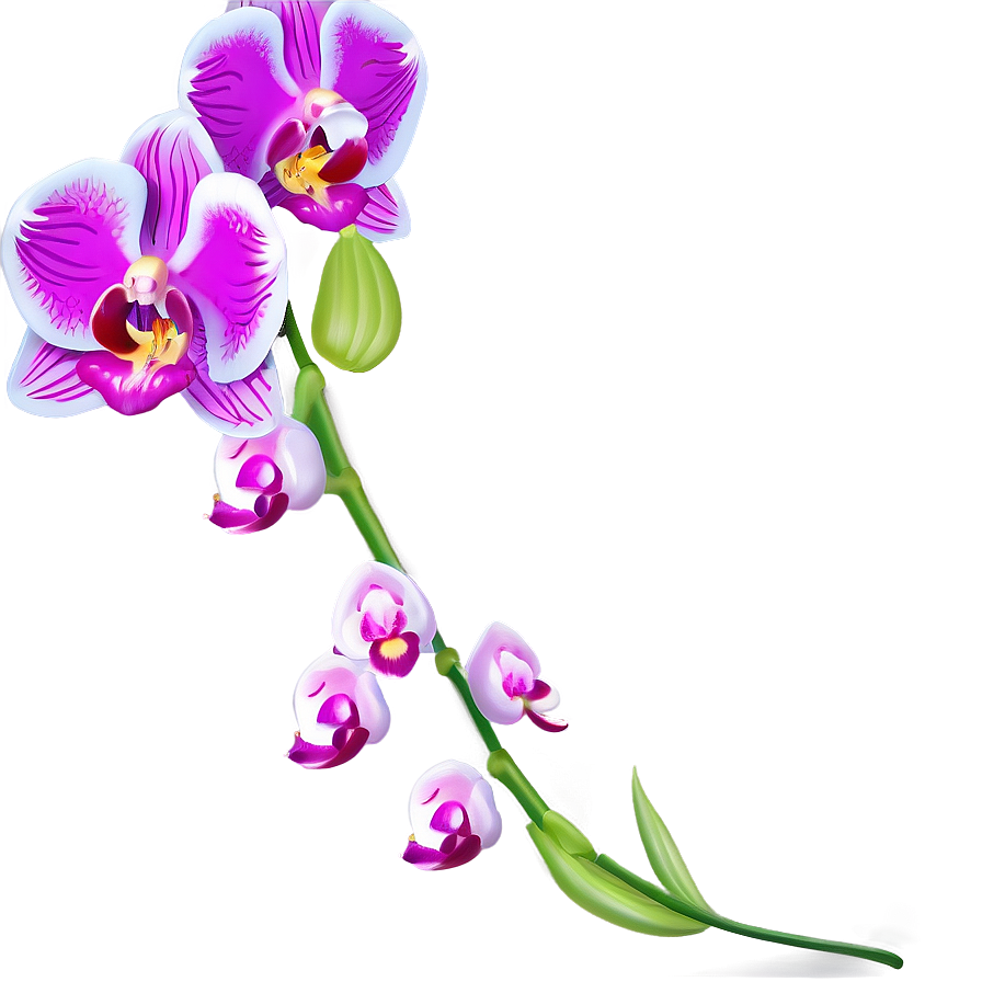 Orchid Spray Png 05242024