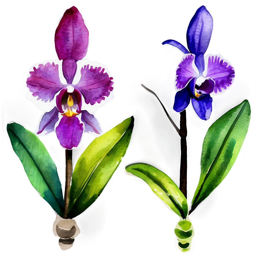 Orchid Watercolor Png 87