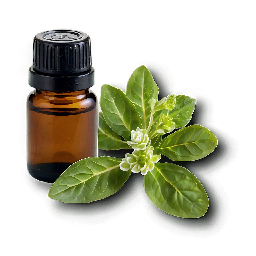 Oregano Essential Oil Png Eey55