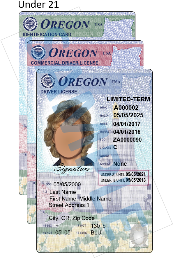 Oregon I Dand Driver Licenses Stack