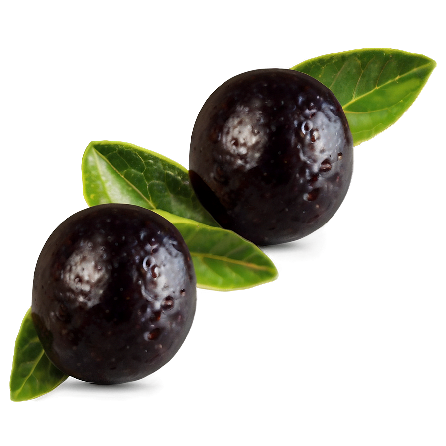 Organic Black Olives Png 06292024