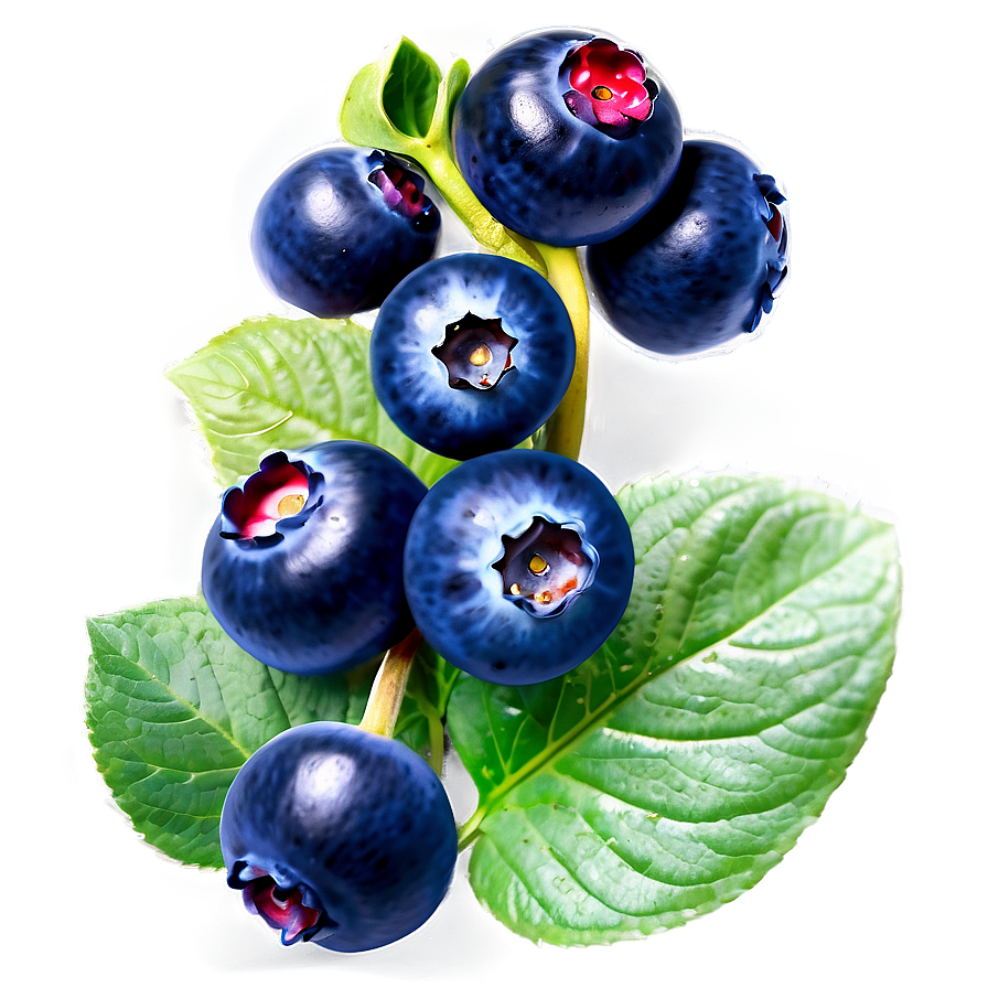 Organic Blueberry Cluster Png 21