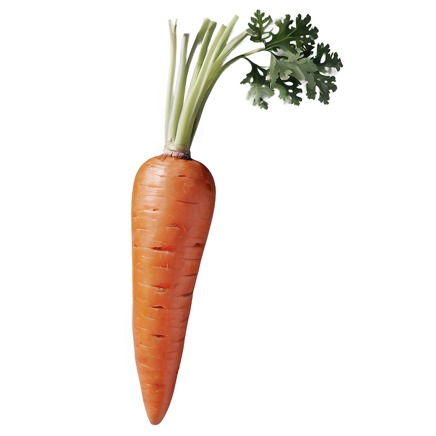 Organic Carrot Png 06132024