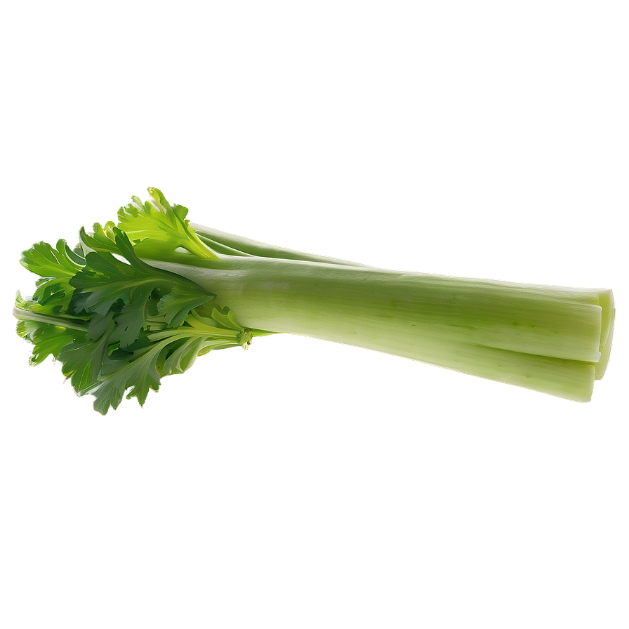 Organic Celery Stick Png 06252024