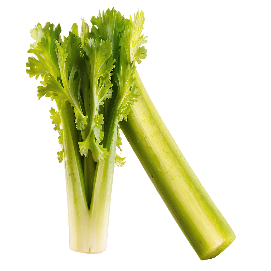 Organic Celery Stick Png 66